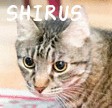 SHIRUS